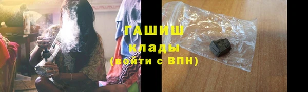 прущие грибы Бронницы